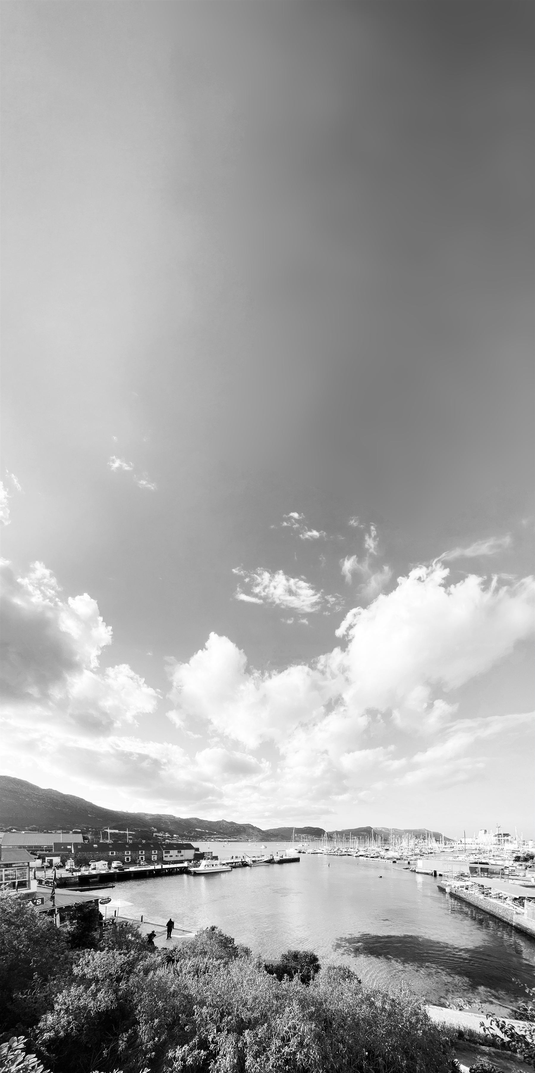 A black-and-white view over a harbour marina, with moored boats, waterfront buildings and hills in the distance.