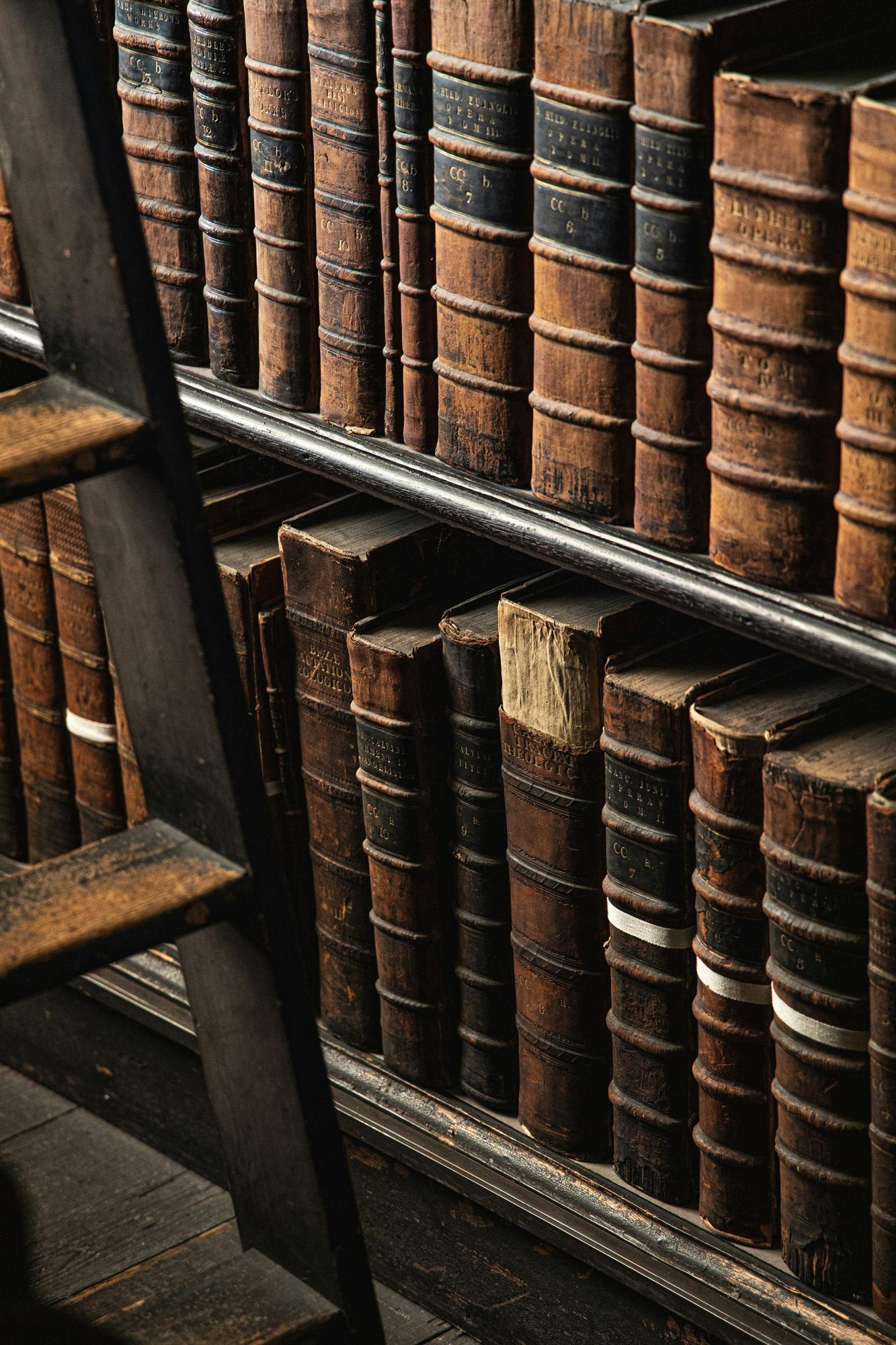 Rows of old leather-bound legal volumes on library shelves.