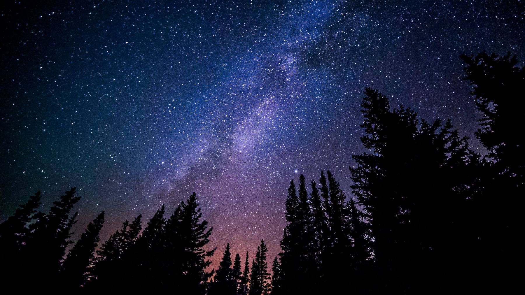 A night sky full of stars above silhouetted trees.