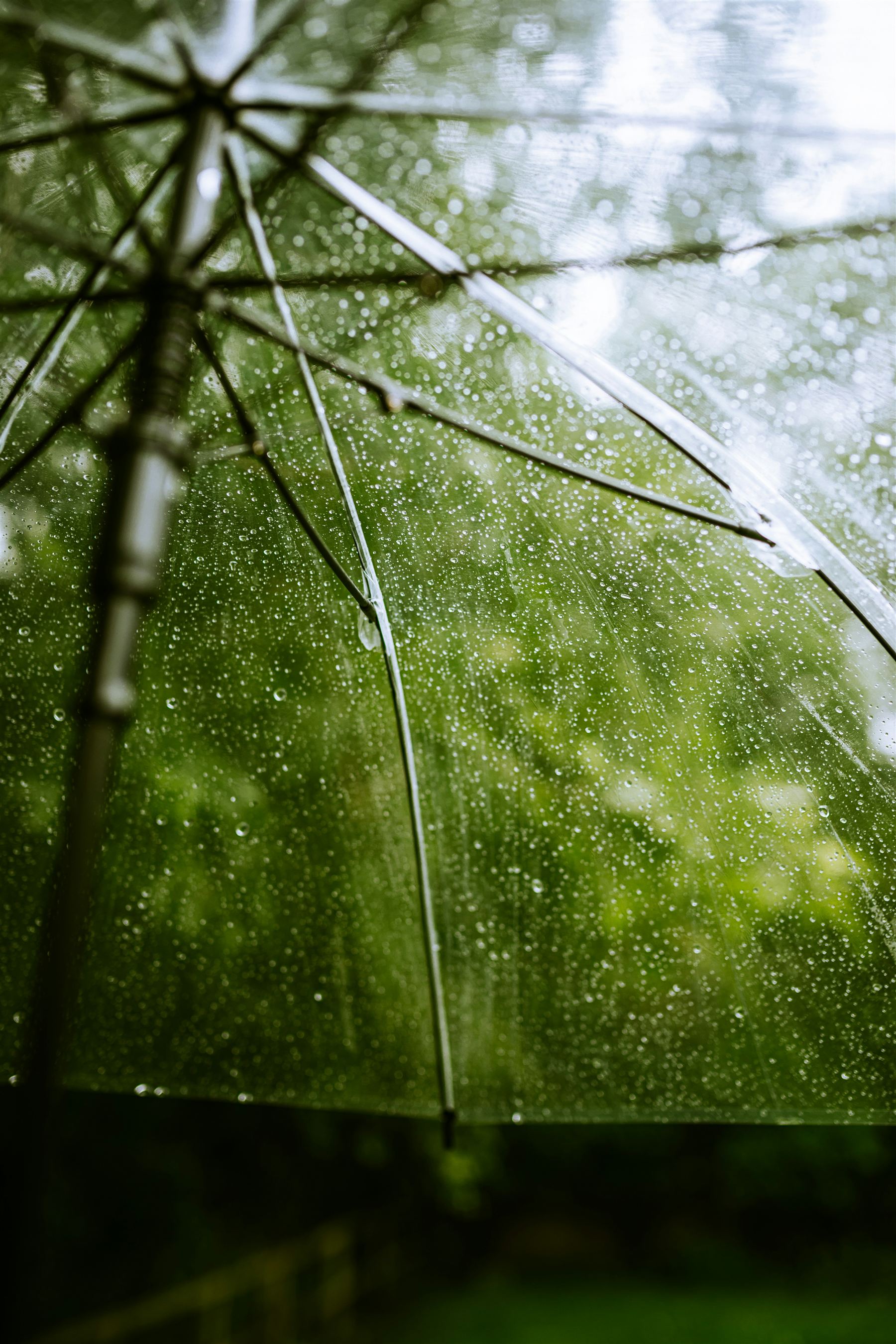 Looking up through a clear umbrella at rain falling against a blurred green backdrop.